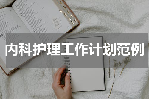 内科护理工作计划范例