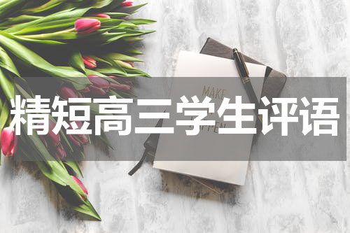 精短高三学生评语