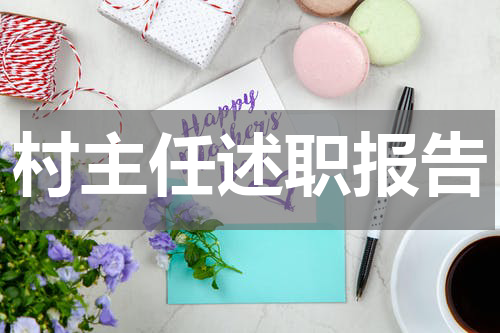 村主任述职报告