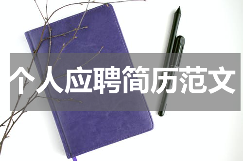 个人应聘简历范文