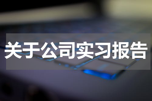 关于公司实习报告