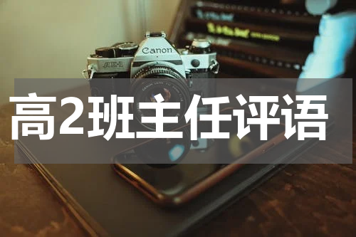 高2班主任评语