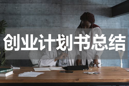 创业计划书总结