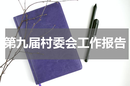 第九届村委会工作报告