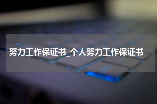 努力工作保证书_个人努力工作保证书