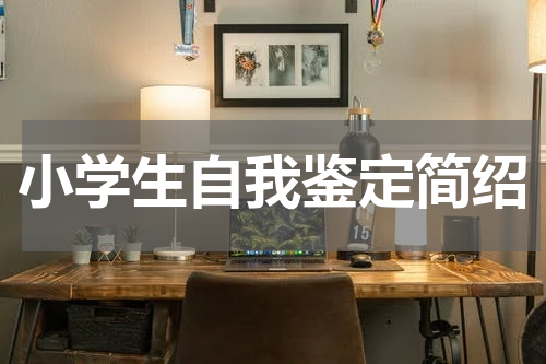 小学生自我鉴定简绍
