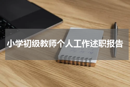 小学初级教师个人工作述职报告