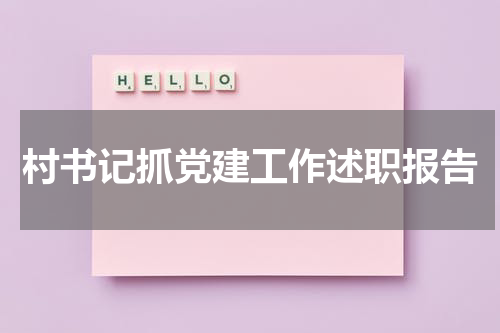 村书记抓党建工作述职报告