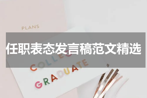 任职表态发言稿范文精选