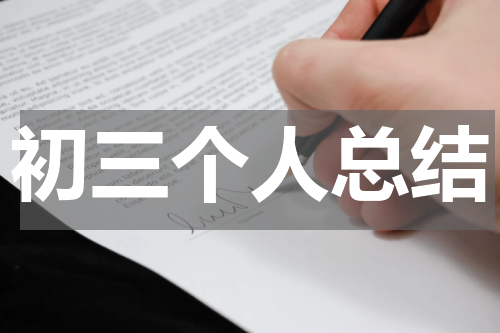 初三个人总结