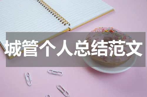 城管个人总结范文