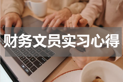 财务文员实习心得