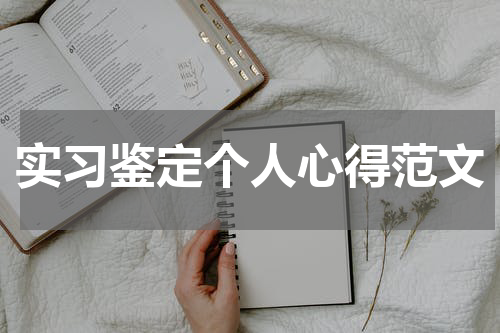 实习鉴定个人心得范文