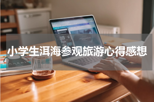 小学生洱海参观旅游心得感想