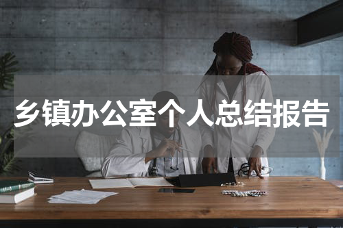 乡镇办公室个人总结报告