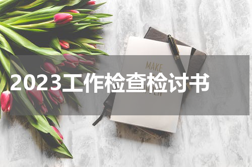 2023工作检查检讨书
