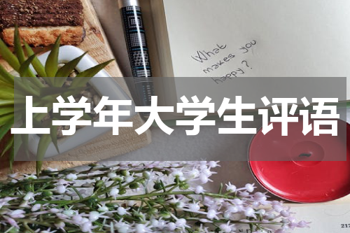 上学年大学生评语