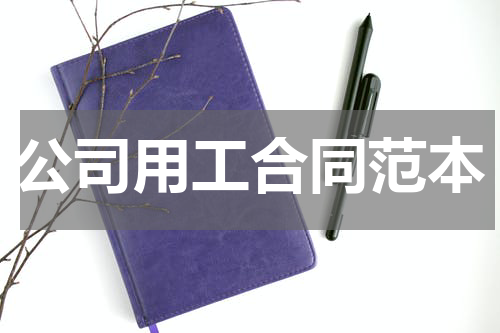 公司用工合同范本