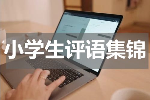 小学生评语集锦