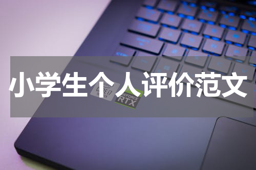 小学生个人评价范文
