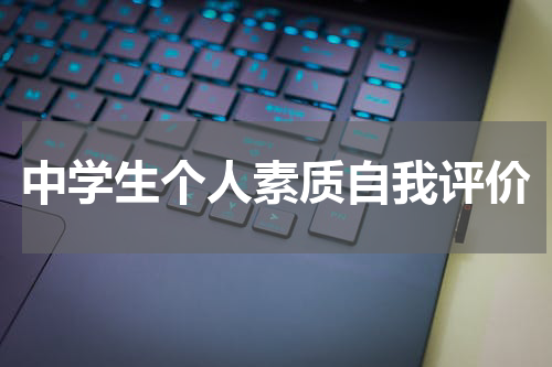 中学生个人素质自我评价