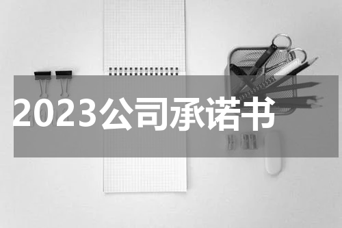 2023公司承诺书