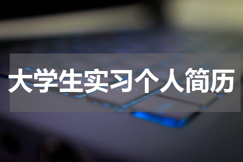 大学生实习个人简历