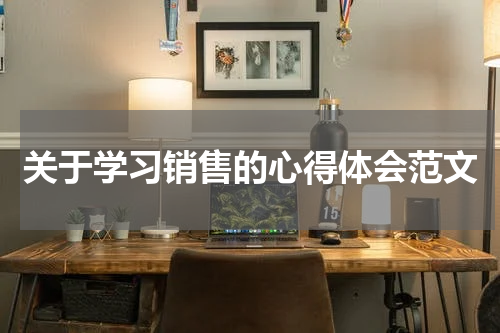 关于学习销售的心得体会范文