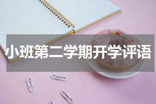 小班第二学期开学评语