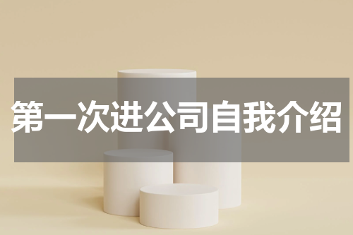 第一次进公司自我介绍