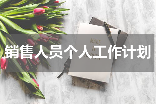 销售人员个人工作计划