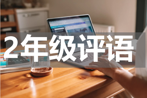 2年级评语