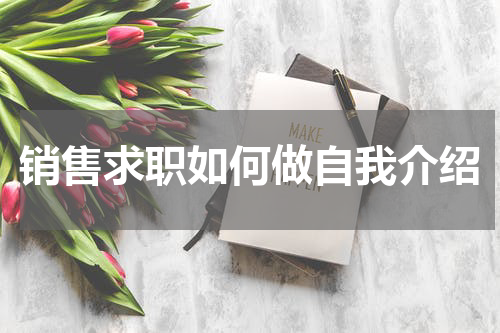销售求职如何做自我介绍