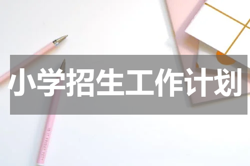 小学招生工作计划