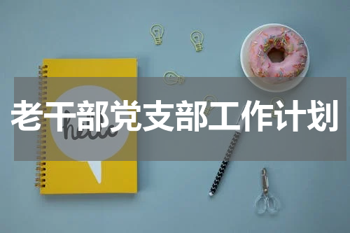 老干部党支部工作计划