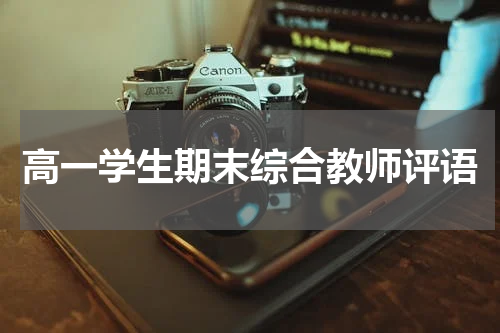 高一学生期末综合教师评语