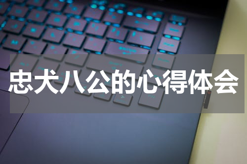 忠犬八公的心得体会