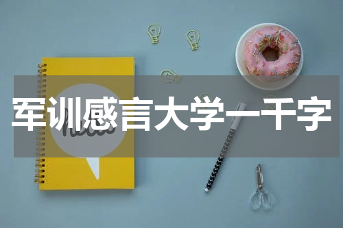 军训感言大学一千字