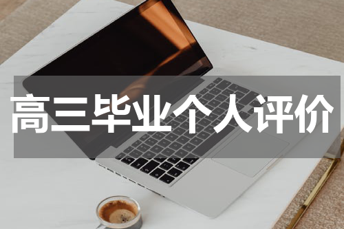 高三毕业个人评价