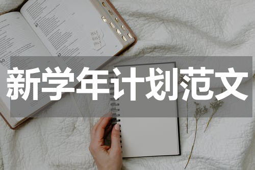 新学年计划范文