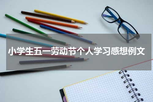 小学生五一劳动节个人学习感想例文