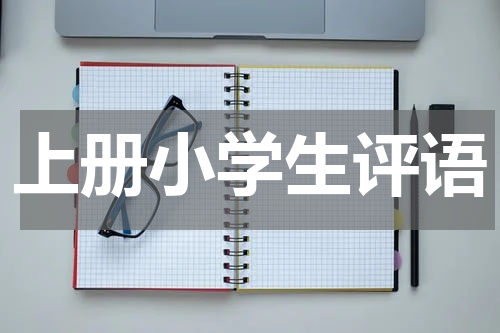 上册小学生评语