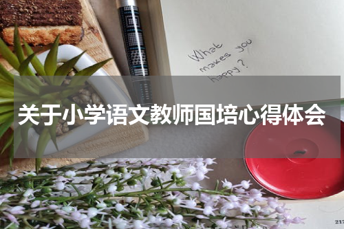 关于小学语文教师国培心得体会