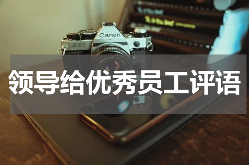 领导给优秀员工评语