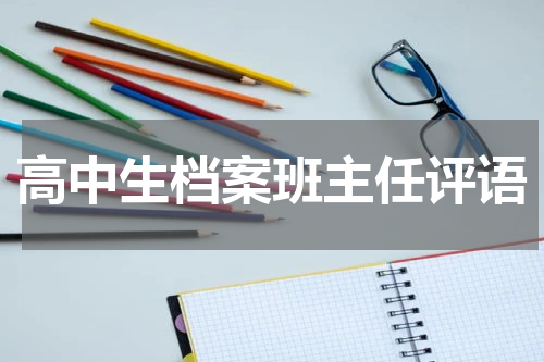 高中生档案班主任评语