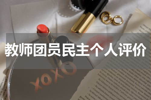 教师团员民主个人评价