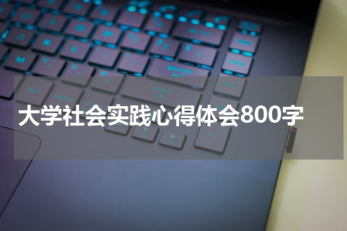 大学社会实践心得体会800字