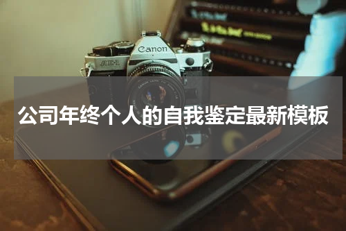 公司年终个人的自我鉴定最新模板