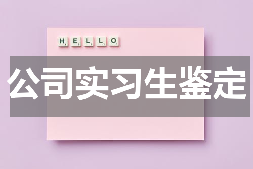 公司实习生鉴定