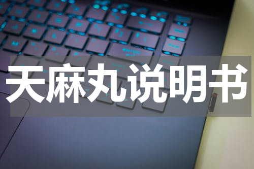 天麻丸说明书